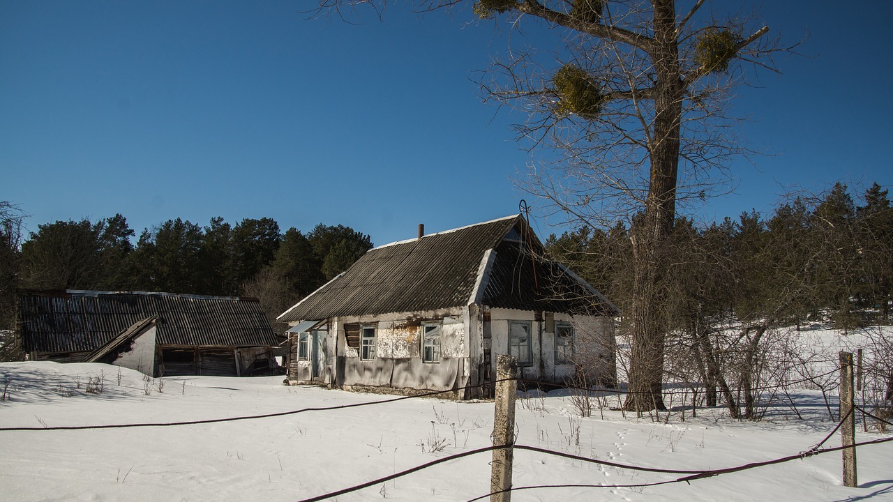 Kaimas,  Sniegas,  Išskirtinė Zona,  Žiemos,  Pobūdį,  Kraštovaizdis,  Baltos Spalvos,  Šalto,  Namas,  Ukraina