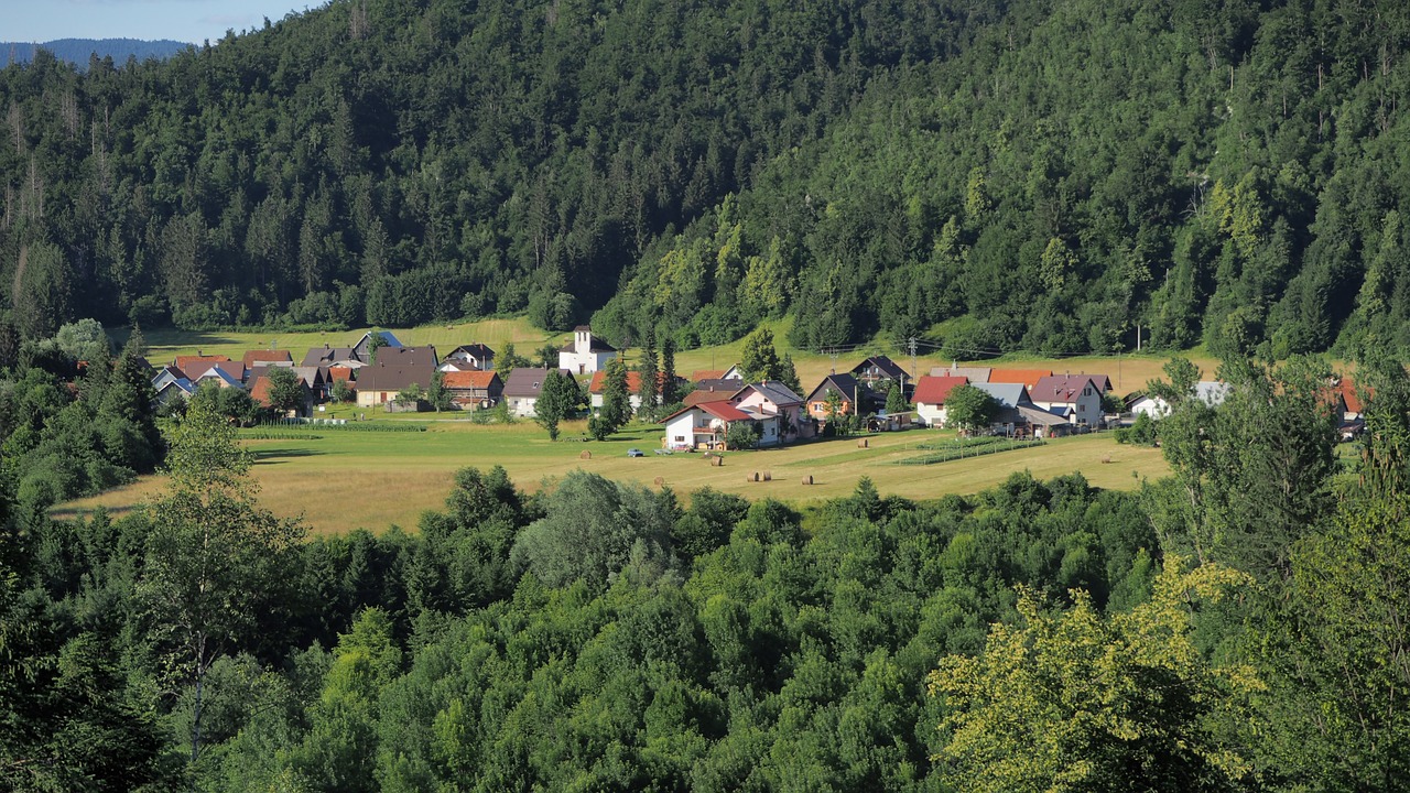 Kaimas,  Kraštovaizdis,  Miškas, Nemokamos Nuotraukos,  Nemokama Licenzija