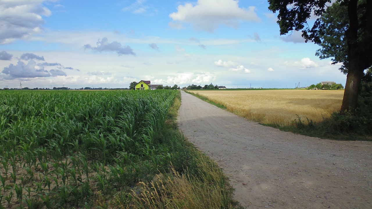 Kaimas,  Lenkija,  Pobūdį,  Kraštovaizdis,  Laukas,  Vasara,  Dangus,  Žalias,  Žolė,  Debesys