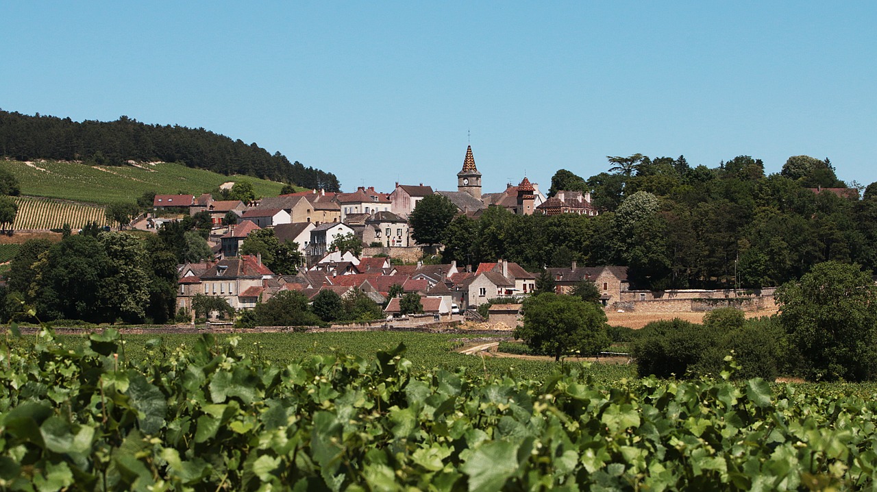 Kaimas, Burgundija, Vynuogynai, Vynuogynas, France, Vynuogės, Vynas, Vynuogė, Didysis Kryžius, Puikūs Vynai