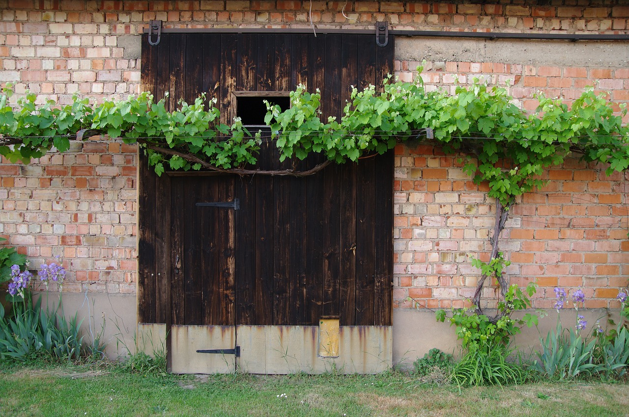 Vynmedis, Barn Durys, Raudona Plytų Siena, Durys, Mediena, Plytų Siena, Alsace, Kaimas, Eschbach, Kaimo Vietovė