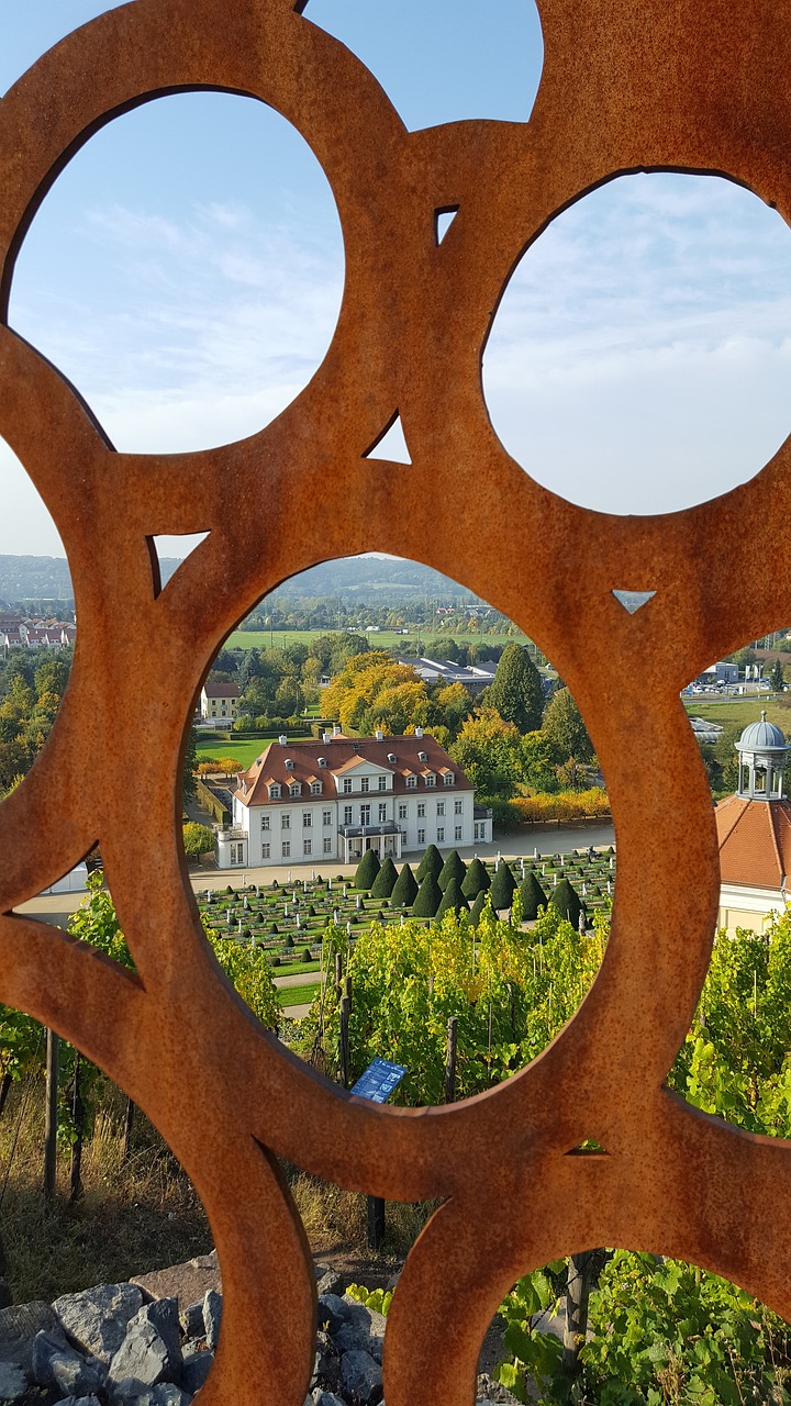 Vynuogynas, Tolimas Vaizdas, Schloss Wackerbarth, Nemokamos Nuotraukos,  Nemokama Licenzija