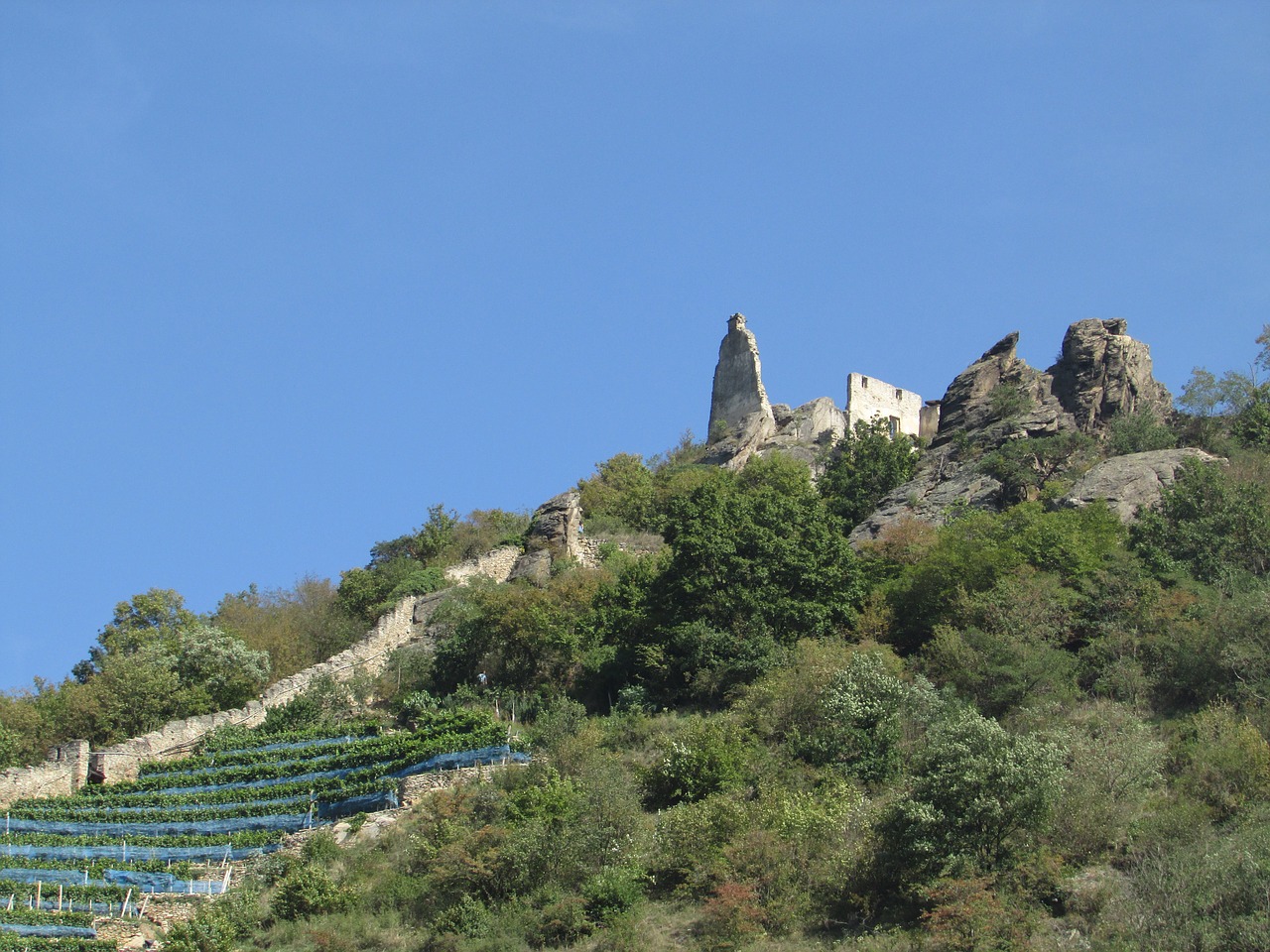 Vynuogynai, Sugadinti, Wachau, Kraštovaizdis, Danube, Nemokamos Nuotraukos,  Nemokama Licenzija