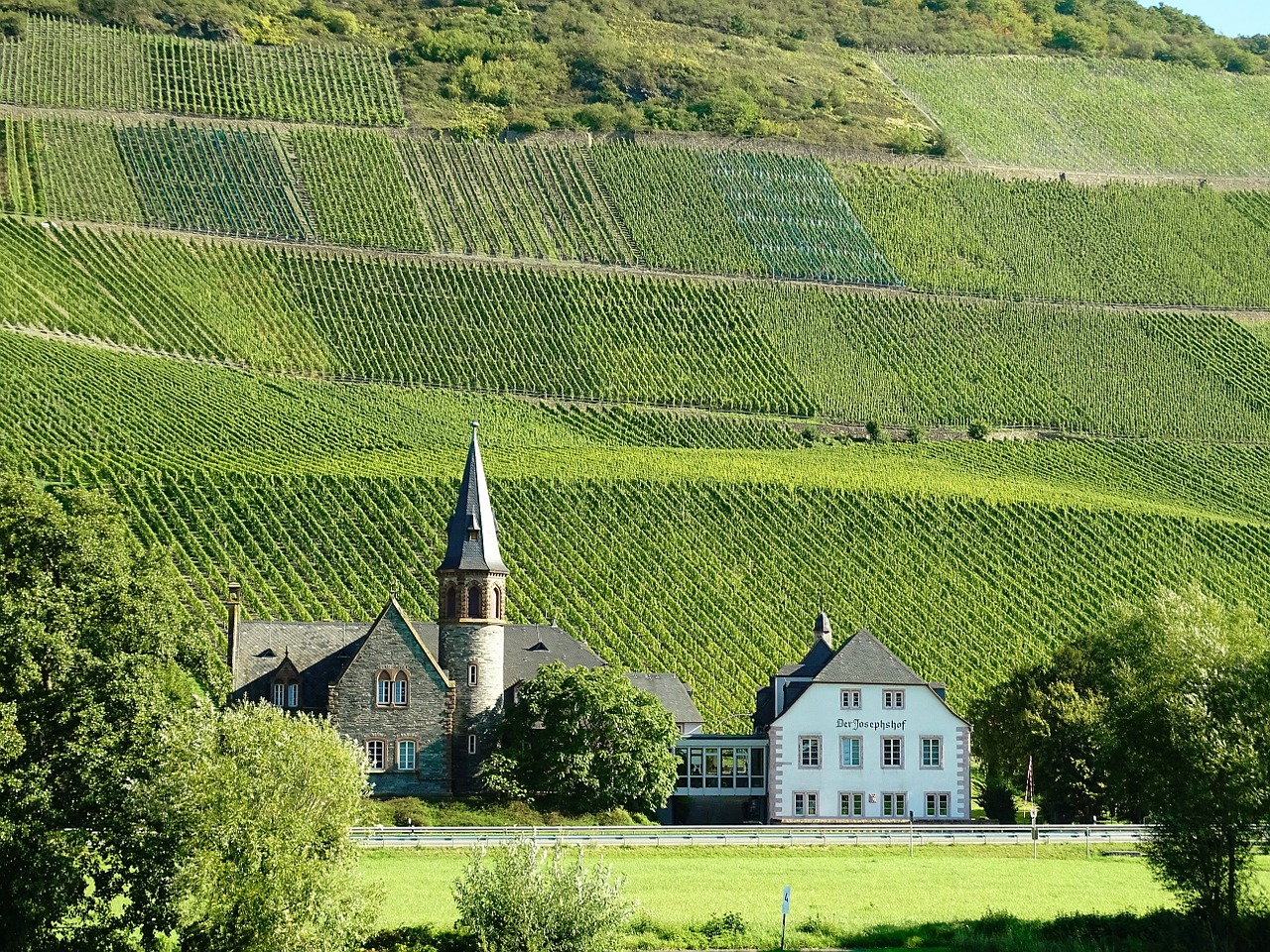 Vynuogynai, Mosel, Vynuogynų Plotas, Status Šlaitas, Šiferis, Sachsen, Kraštovaizdis, Vynas, Vokietija, Gamta