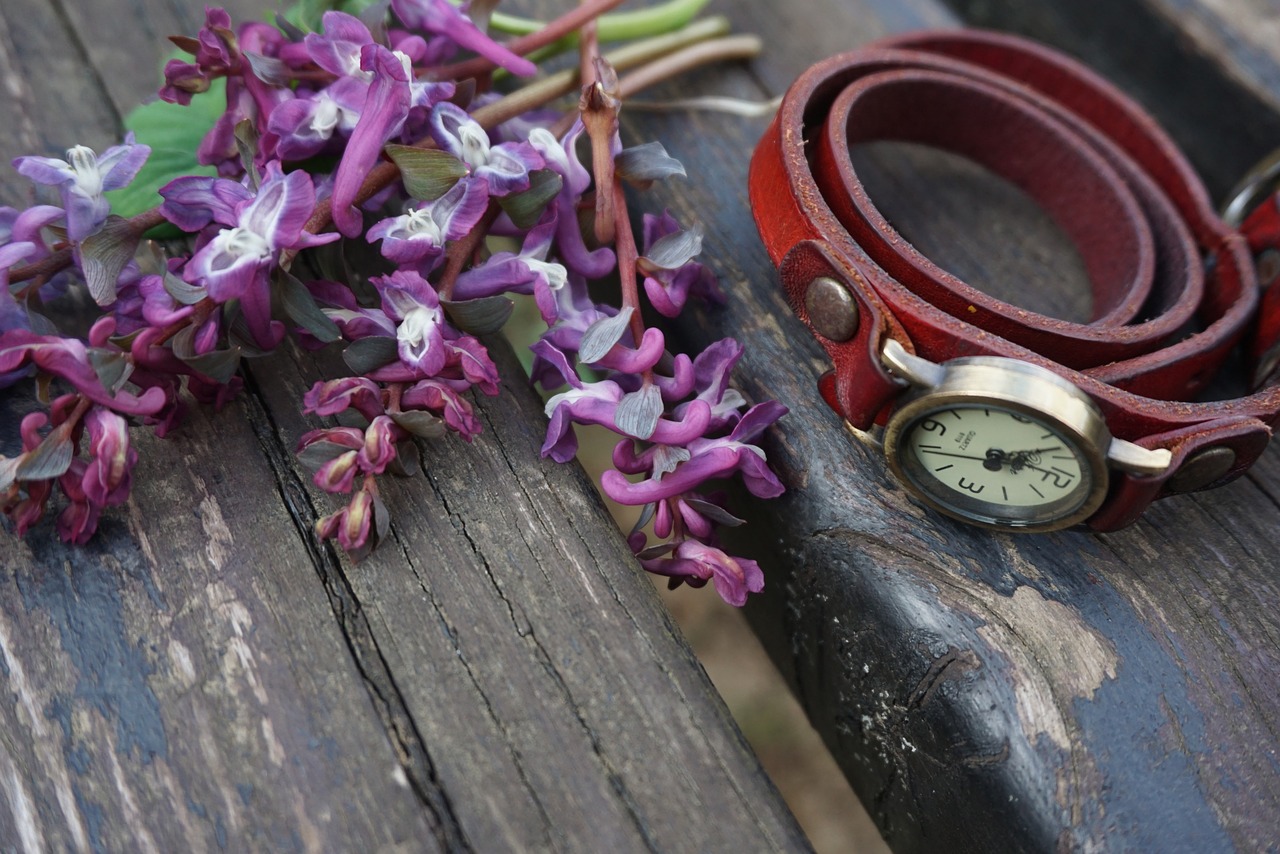 Vintage, Raudona, Žiūrėti, Laikrodžiai, Violetinė, Gėlės, Medinis, Stendas, Vasara, Gamta