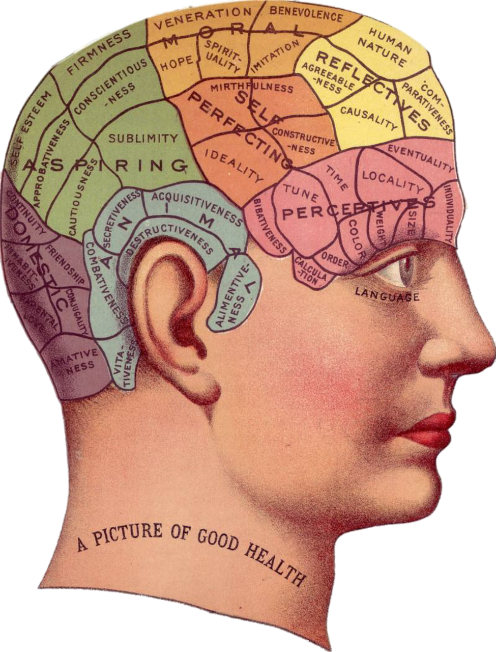 Vintage, Smegenys, Skelbimas, Idėja, Atmintis, Psichologija, Protas, Žmogus, Galvoti, Išradimas