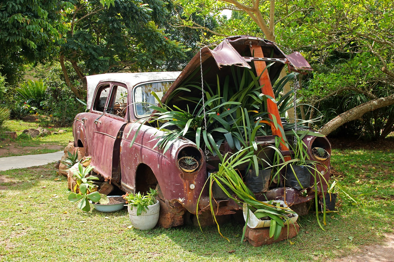 Senovinis Automobilis, Augalai Pagal Variklio Dangtį, Automobilis, Senas, Raudona, Išblukęs, Vintage, Konteineriai, Puodai, Augalai