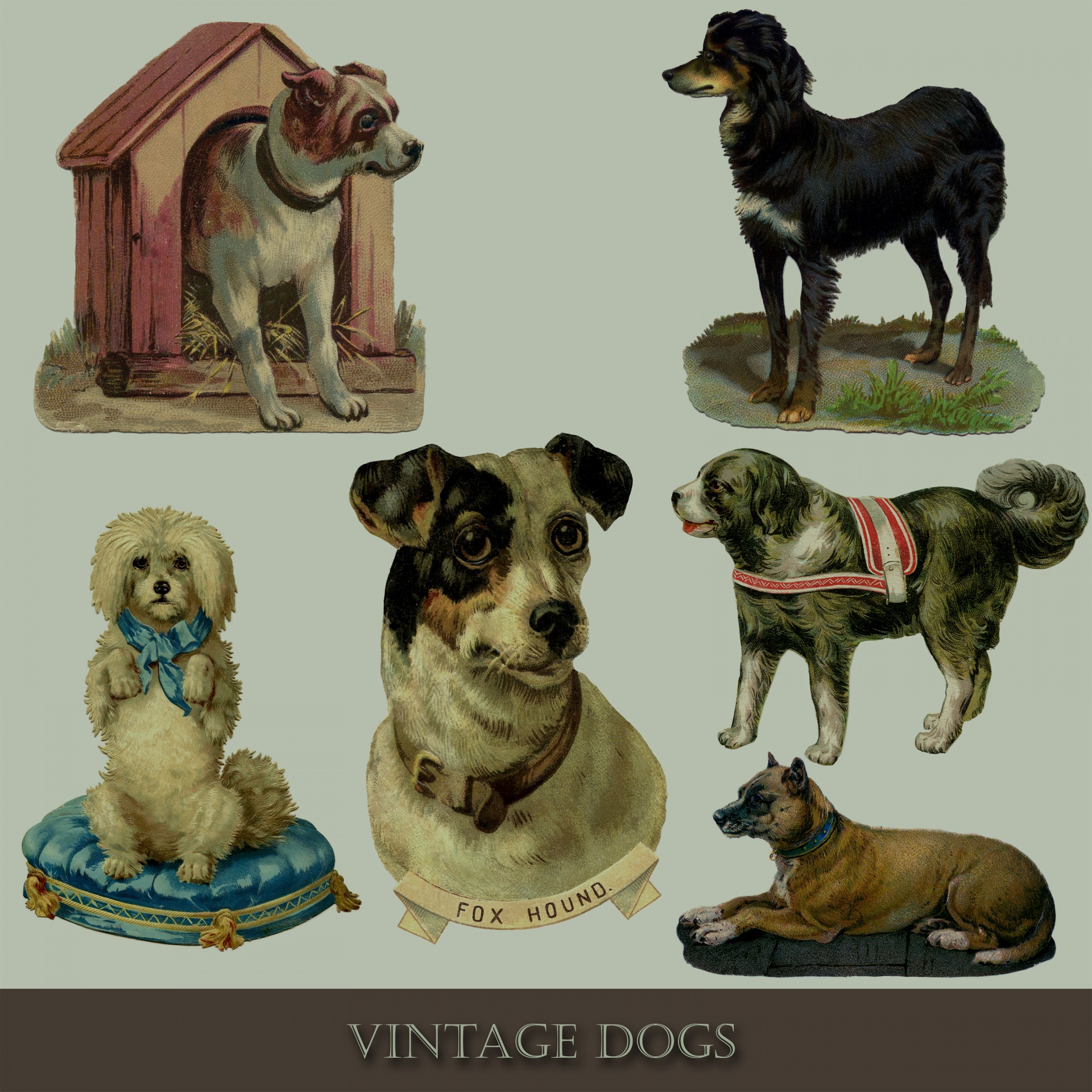 Šuo,  Šunys,  Menas,  Iliustracija,  Vintage,  Victorian,  Mielas,  Spalvinga,  Gražus,  Naminis Gyvūnėlis