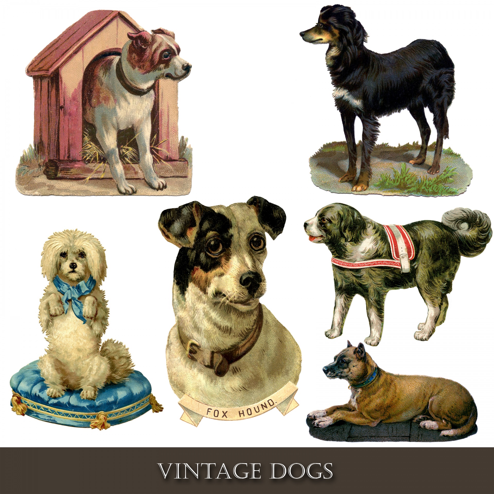 Šuo,  Šunys,  Vintage,  Victorian,  Iliustracijos,  Clip & Nbsp,  Menas,  Menas,  Iliustracija,  Spalvinga