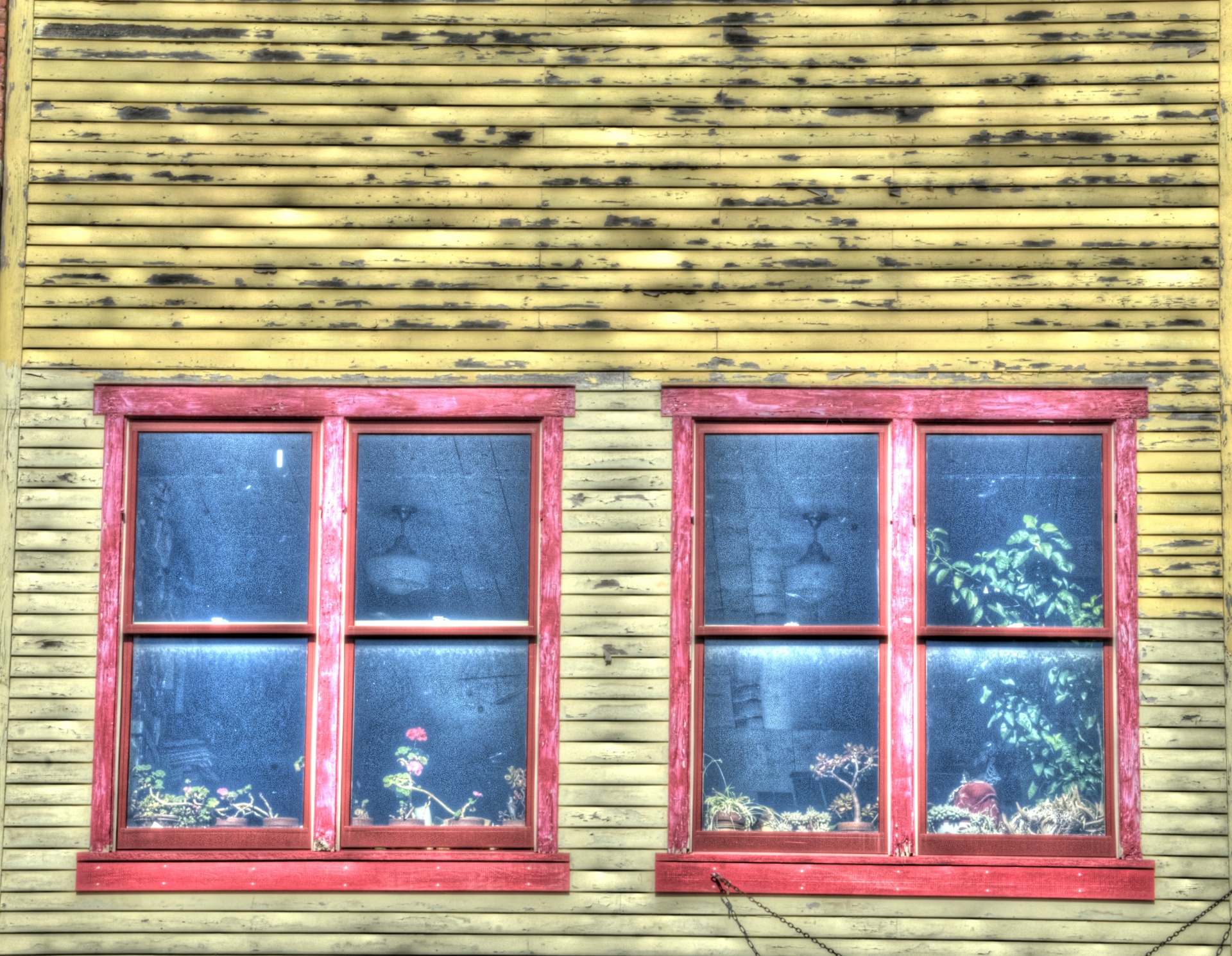 Голодное окно. Старые окна. Старое окно. Винтажные окна. Текстура старого окна.