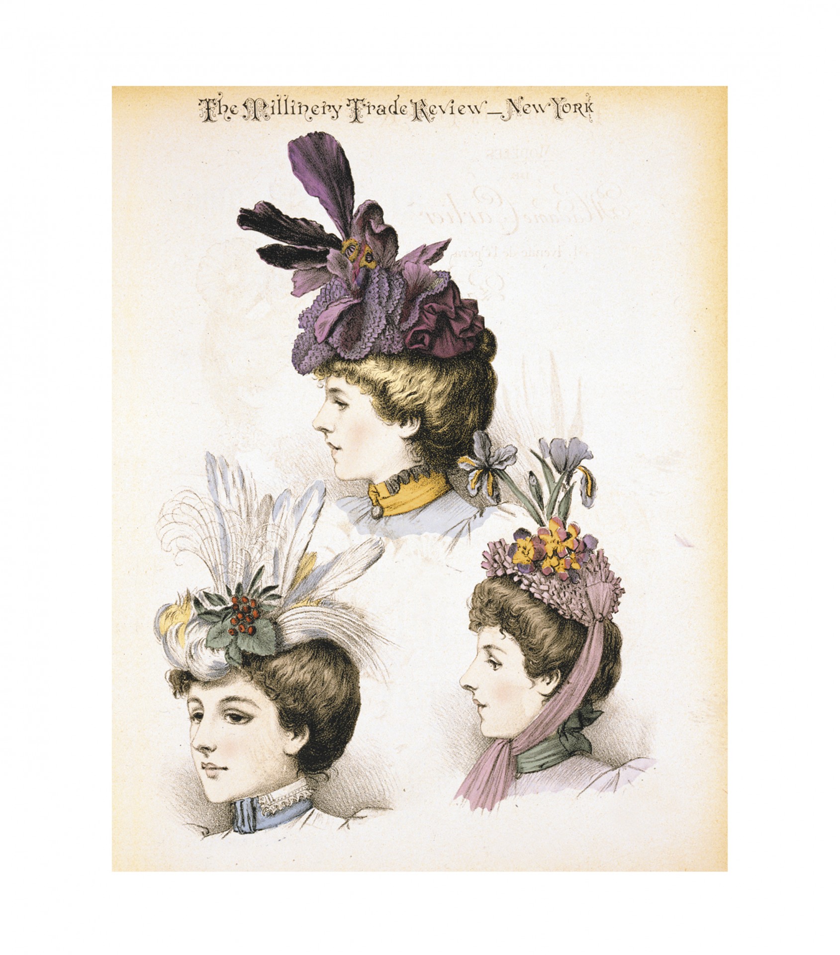 Moteris,  Moterys,  Moteris,  Lady,  Vintage,  1897,  Skrybėlę,  Skrybėlės,  Mada,  Madinga