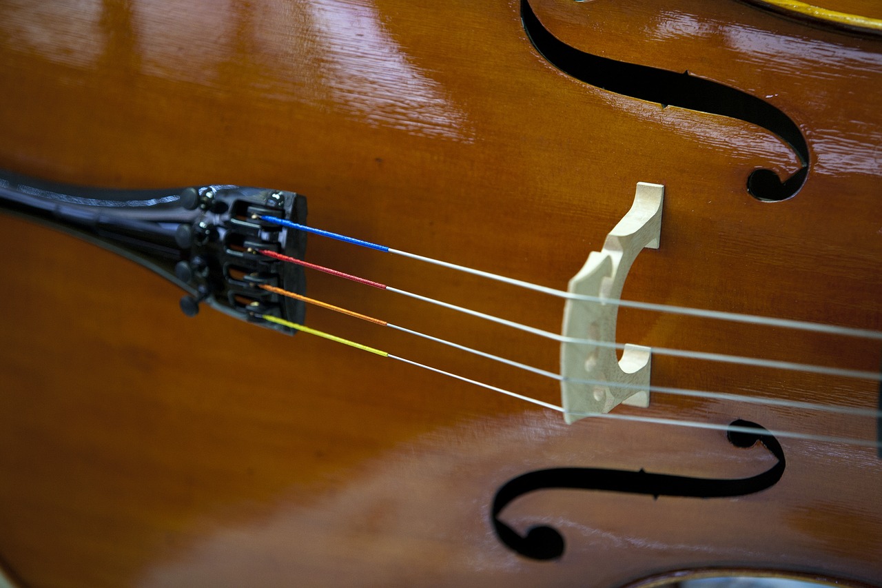 Smuikas, Muzika, Instrumentas, Ansamblis, Grojo, Hobis, Klasikinis, Muzikantai, Orkestras, Styginiai Instrumentai