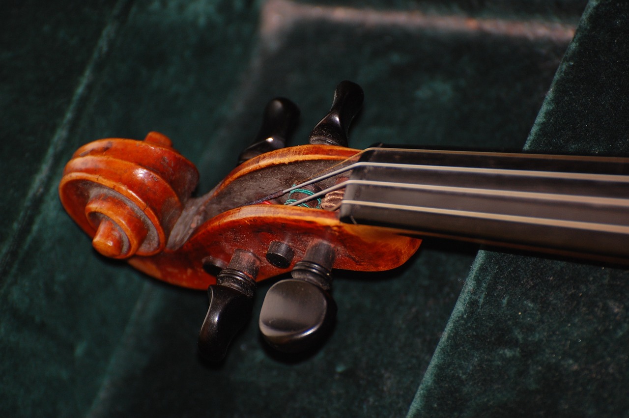 Smuiko Kirminas, Sraigė, Smuikas, Muzikinis Instrumentas, Nemokamos Nuotraukos,  Nemokama Licenzija