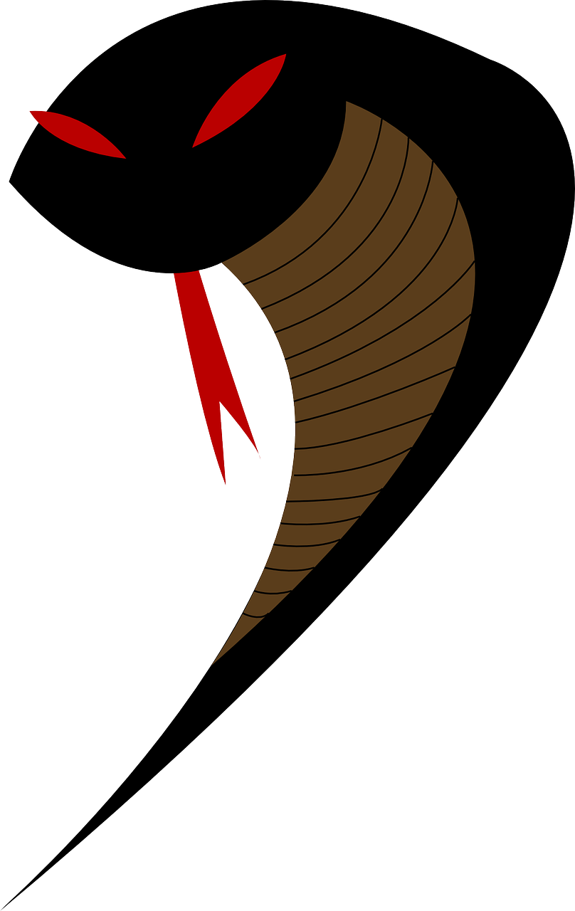 Viper, Gyvatė, Nuodai, Liežuvis, Lambency, Nuodingas, Gyvūnas, Įkandimas, Nuodai, Pavojus