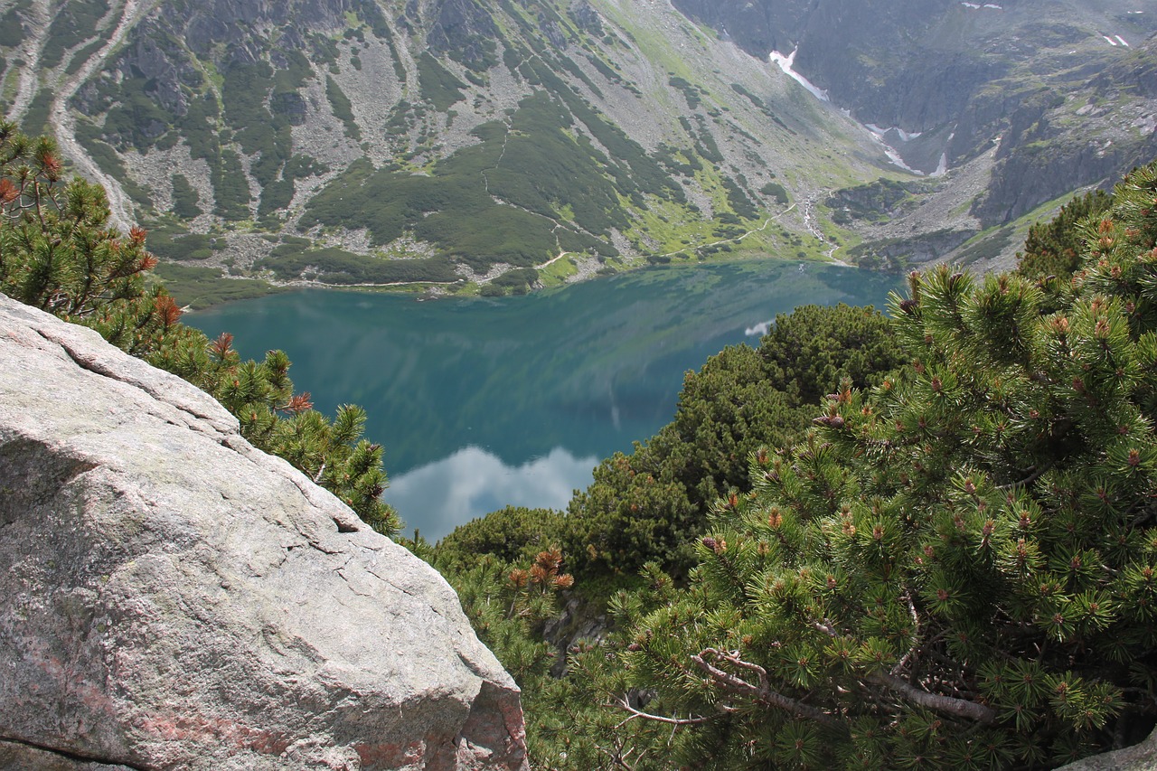 Vistas, Kalnai, Lenkų Tatros, Nemokamos Nuotraukos,  Nemokama Licenzija