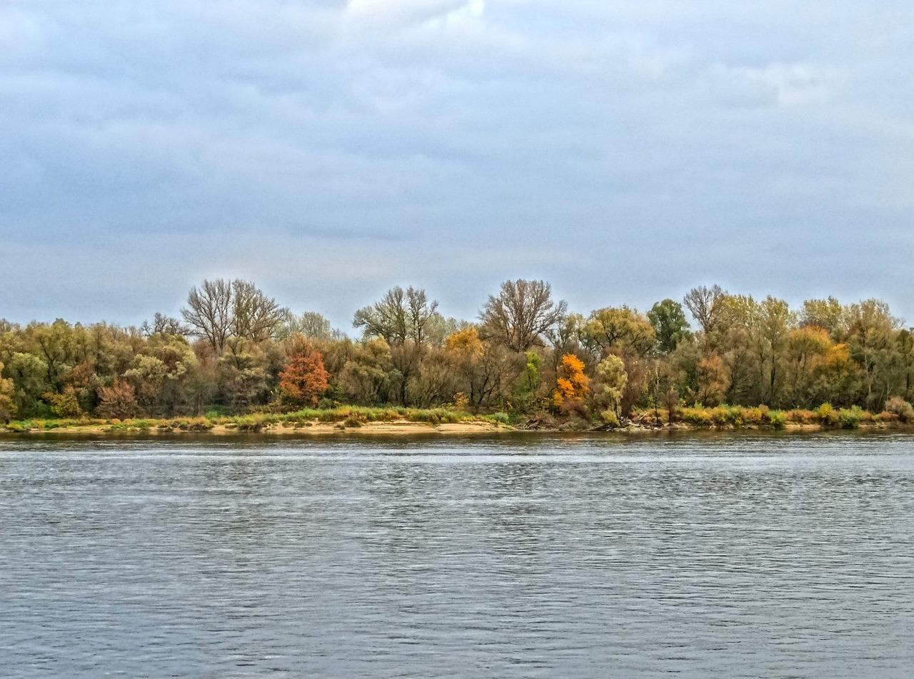 Vistula, Bydgoszcz, Upė, Lenkija, Vanduo, Gamta, Kraštovaizdis, Medžiai, Nemokamos Nuotraukos,  Nemokama Licenzija