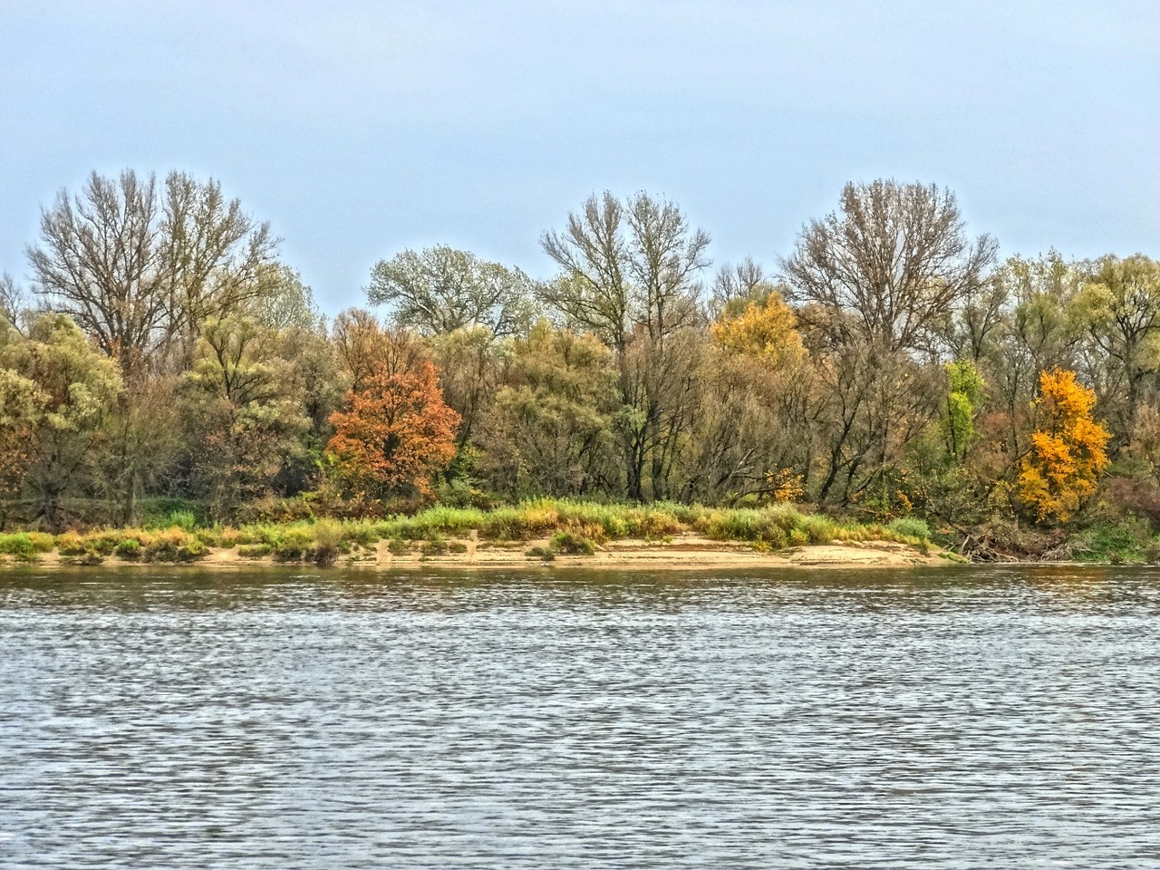 Vistula, Bydgoszcz, Upė, Lenkija, Vanduo, Gamta, Kraštovaizdis, Medžiai, Nemokamos Nuotraukos,  Nemokama Licenzija