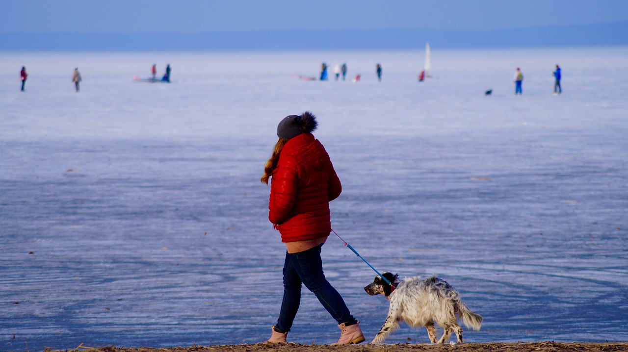 Vistula Lagūnos, Žiema, Elbląg, Lenkija, Warmia-Mazury, Toksacz, Šaltis, Užšaldytas Vanduo, Vaizdas, Išreikšti