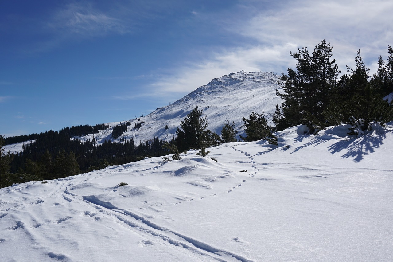 Vitosha, Sofia, Bulgarija, Piko, Sniegas, Žiema, Kalnas, Šaltis, Miškas, Balta