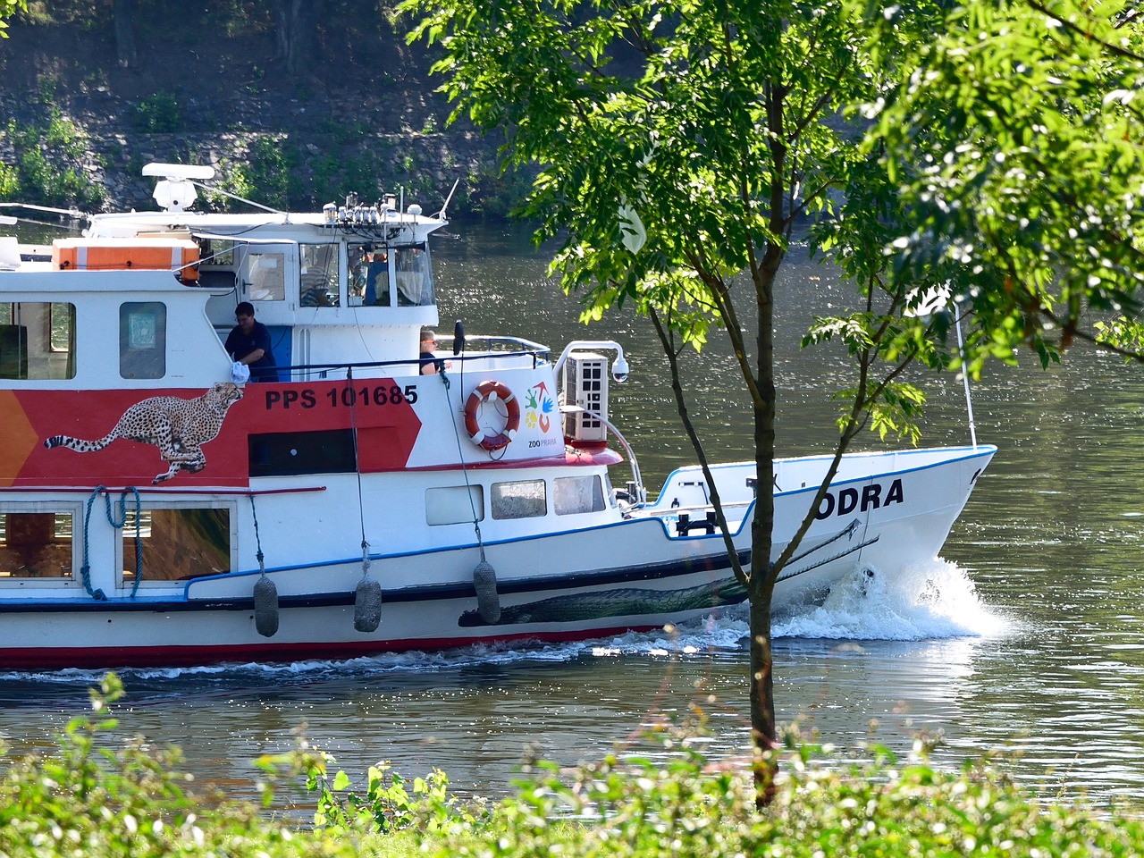 Vltava, Laivas, Vasara, Vanduo, Kelionė, Navigacija, Fonas, Tapetai, Nemokamos Nuotraukos,  Nemokama Licenzija