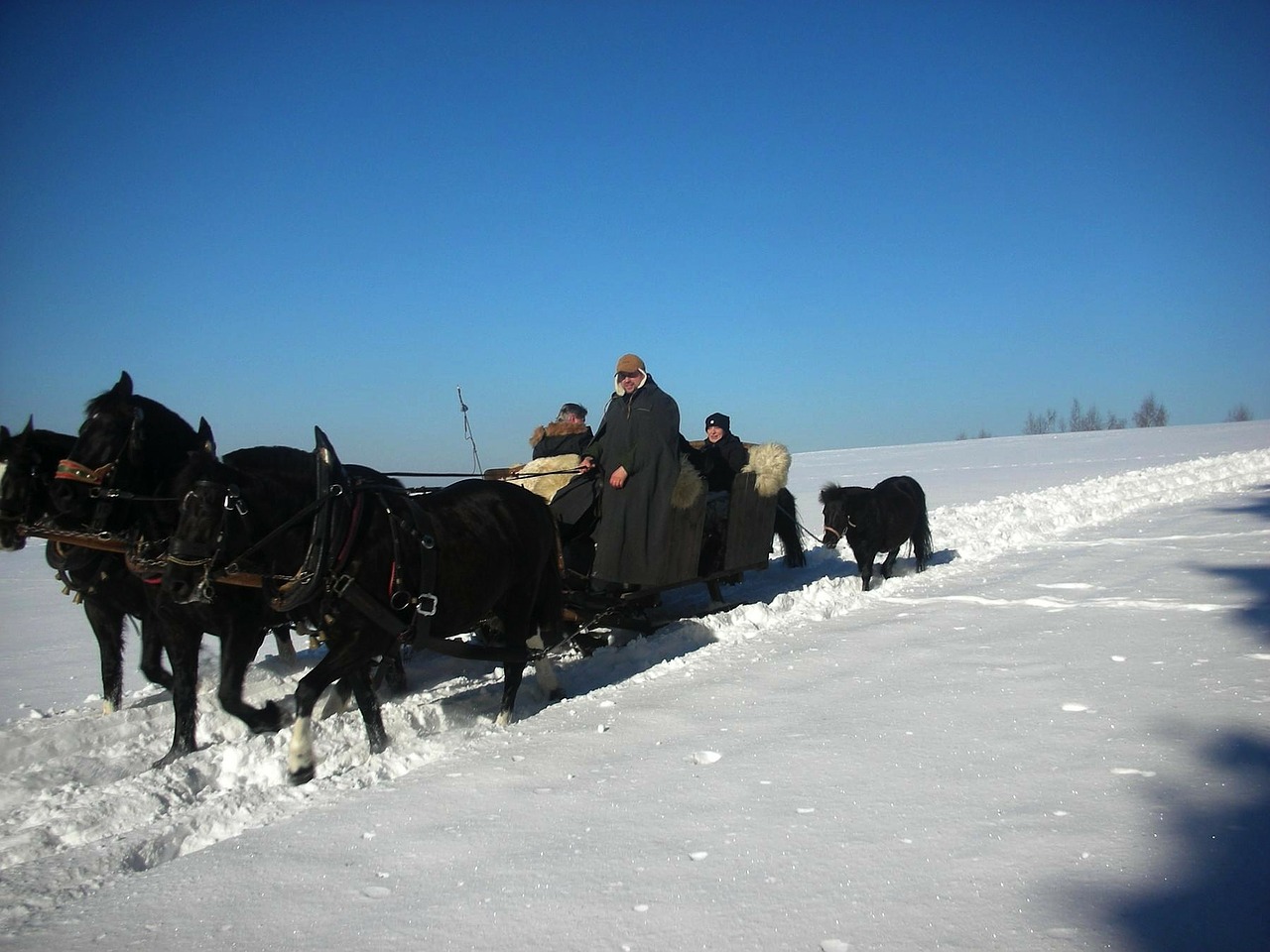 Vogtland, Kraštovaizdis, Žiema, Sniegas, Ledas, Dangus, Debesys, Kelnės, Žmonės, Arkliai