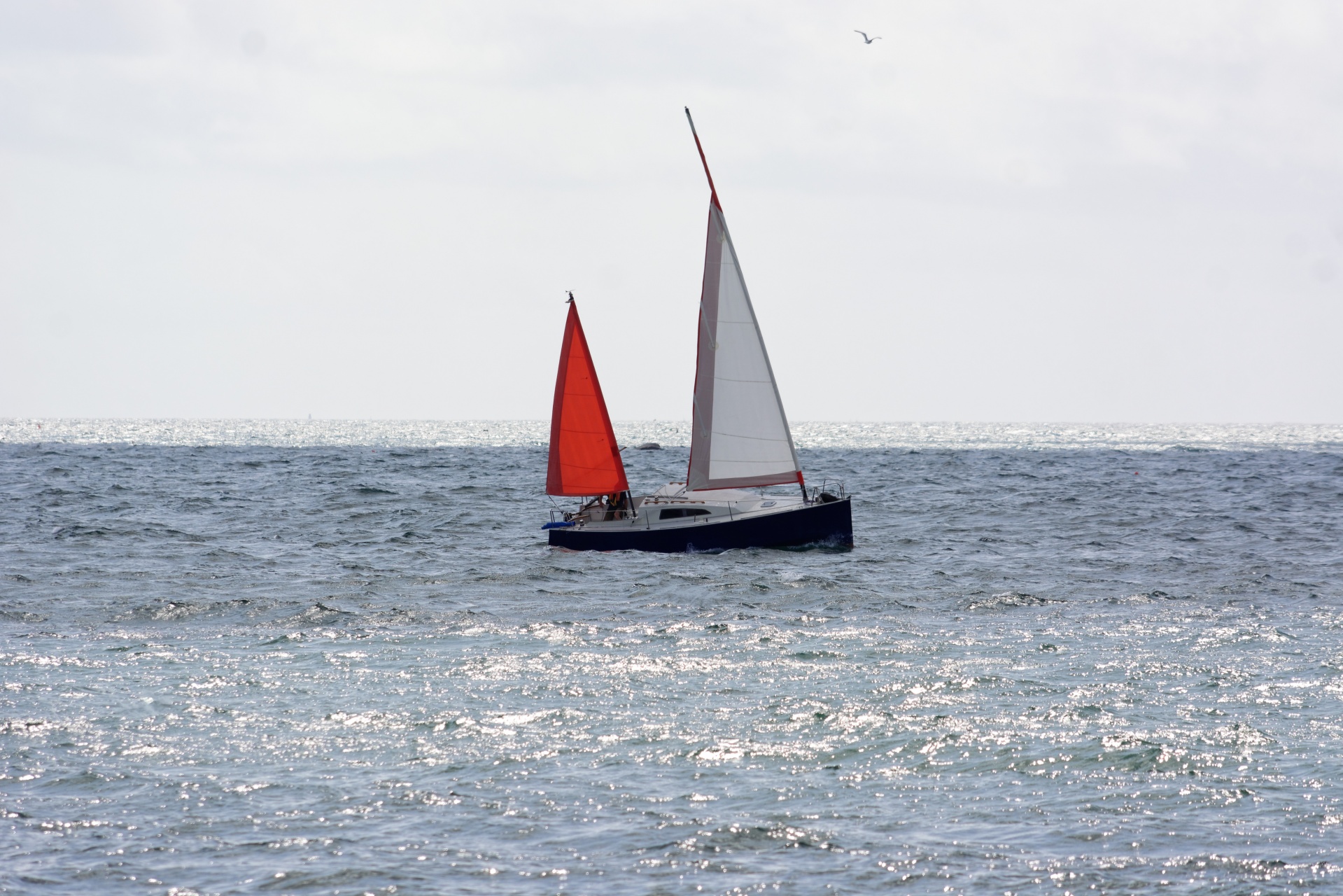 Valtis,  Burlaivis,  Navigacija,  Vėjas,  Jūrų,  Sportas,  Laisvalaikis,  Vanduo,  Jūra,  Vandenynas