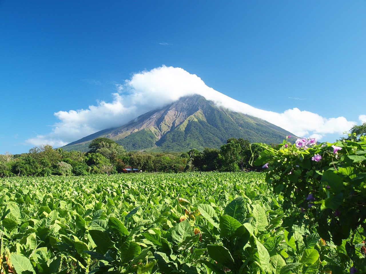 Vulkanas, Nikaragva, Koncepcija, Ometepe, Tabakas, Nemokamos Nuotraukos,  Nemokama Licenzija