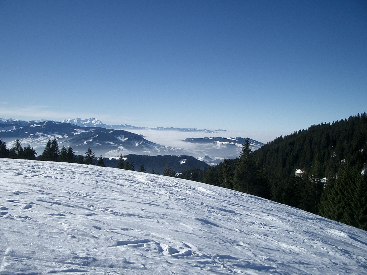 Vorarlbergas, Žiema, Sniegas, Vaizdas, Ežero Konstanta, Hochaedrich, Slidinėjimas Atokioje Pakrantėje, Nemokamos Nuotraukos,  Nemokama Licenzija