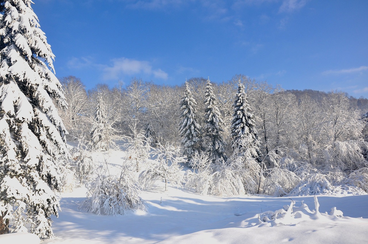 Vosges, Žiema, Sniegas, Nemokamos Nuotraukos,  Nemokama Licenzija