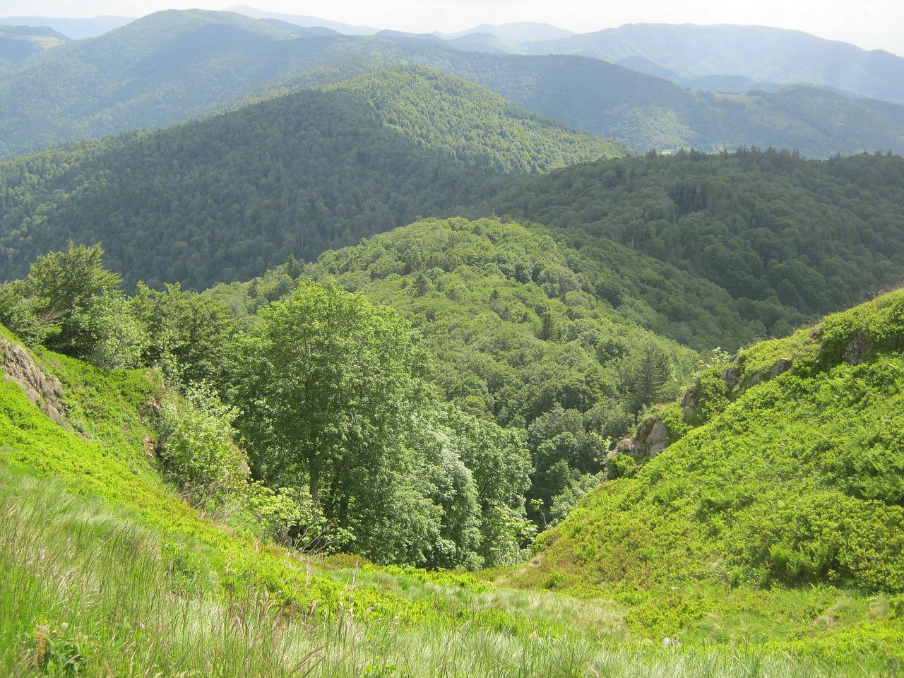 Vosges, Kalnas, Miškas, Žygiai, Nemokamos Nuotraukos,  Nemokama Licenzija