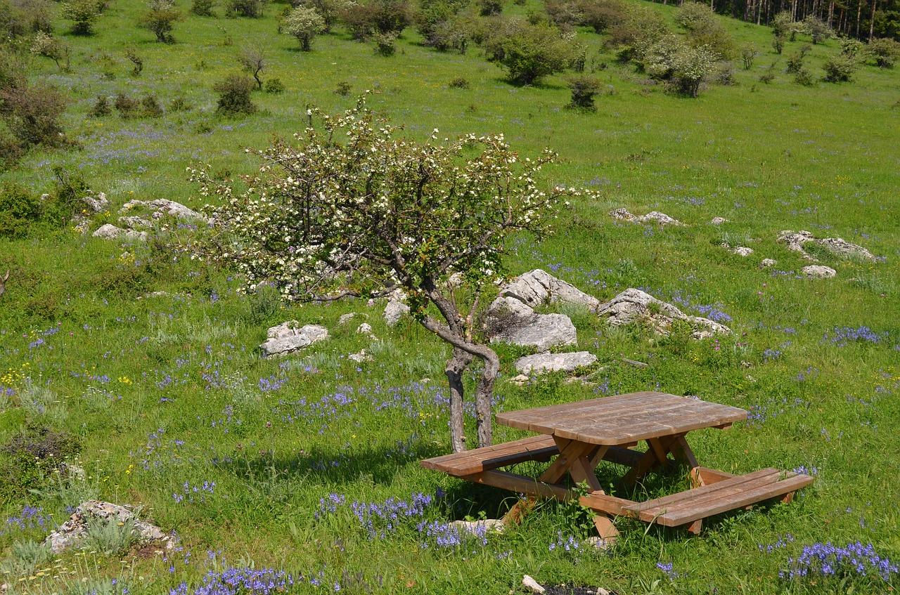 Vratsa, Gamtos Parkas, Pieva, Stendas, Iškylos Vietoje, Žalias, Gėlės, Pavasaris, Lauke, Nemokamos Nuotraukos