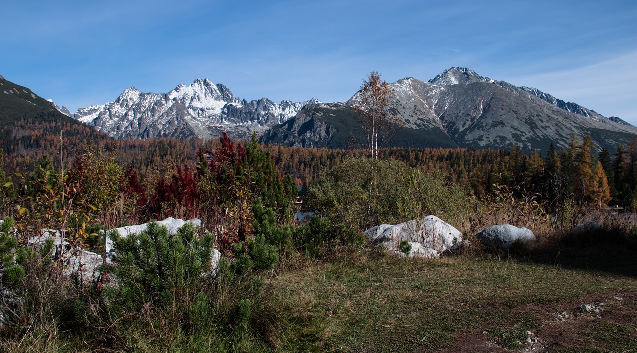 Vysoké Tatry, Kalnai, Slovakija, Tatry, Ruduo, Panorama, Šalis, Nemokamos Nuotraukos,  Nemokama Licenzija