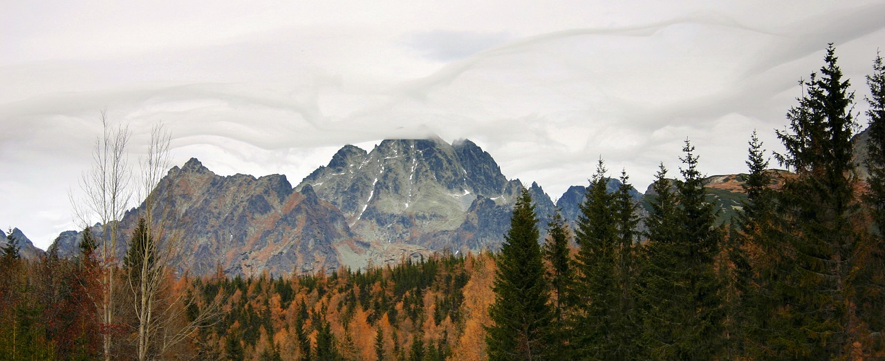 Vysoké Tatry, Panorama, Slovakija, Debesys, Kalnai, Gamta, Miškas, Dangus, Šalis, Kalnas