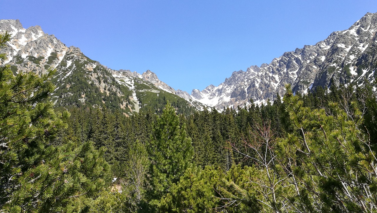 Tatry,  Pobūdį,  Tatra,  Šalis,  Slovakija,  Aukštieji Tatrai,  Uolienos,  Kalnai,  Turizmas,  Mengusovská Slėnis