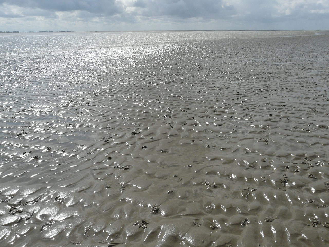 Wadden Jūra, Vatai, Šiaurės Jūra, Schlick, Smėlis, Vanduo, Blizgesys, Spindesys, Atgal Šviesa, Pralaidos Zona