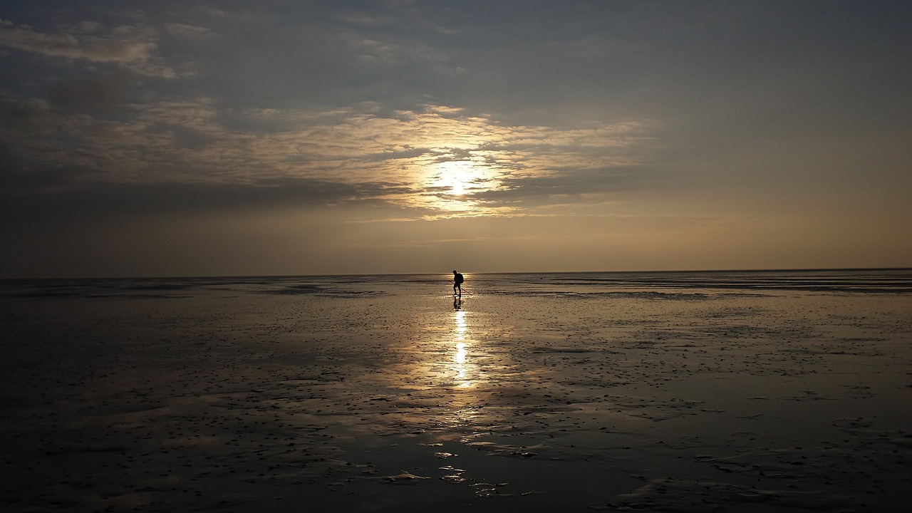 Wadlopen, Holland, Wadden Jūra, Walker, Wadloper, Atsipalaidavimas, Gamta, Sportas, Jūra, Žygiai