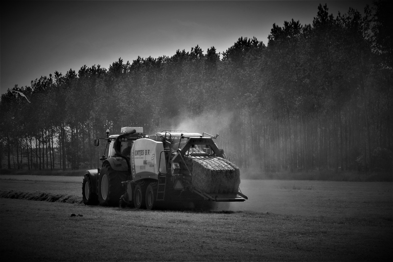 Darbo Užmokesčio Veiklos,  Traktorius,  Traktoriai,  Derliaus Mašina,  Ūkis,  Specialieji Darbai,  Kraštovaizdis,  Žemės Ūkio Mechanizmas,  Galvijų Pašarų,  Komercinė Transporto Priemonė