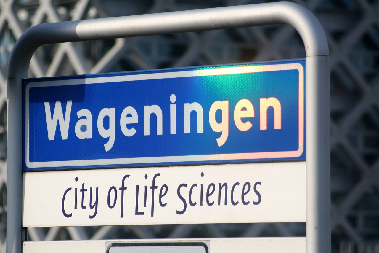 Wageningen, Universitetas, Studentas Miestas, Miestas, Savivaldybė, Gelderlandas, Žemės Ūkio Miestas, Mokslas, Nemokamos Nuotraukos,  Nemokama Licenzija