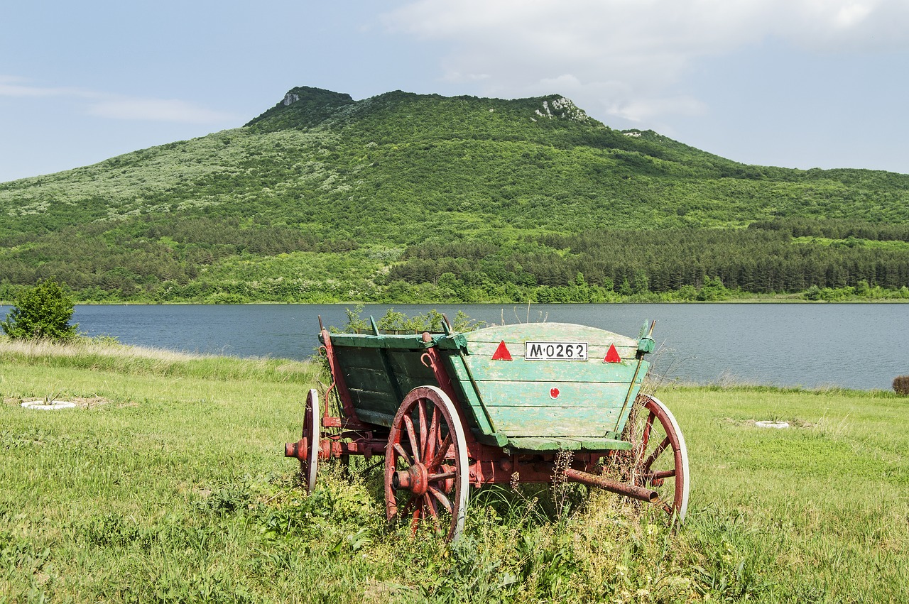 Vagonas,  Medinis,  Ratai,  Meadow,  Ežeras,  Kalnų,  Žalias,  Metai,  Transportas,  Vintage