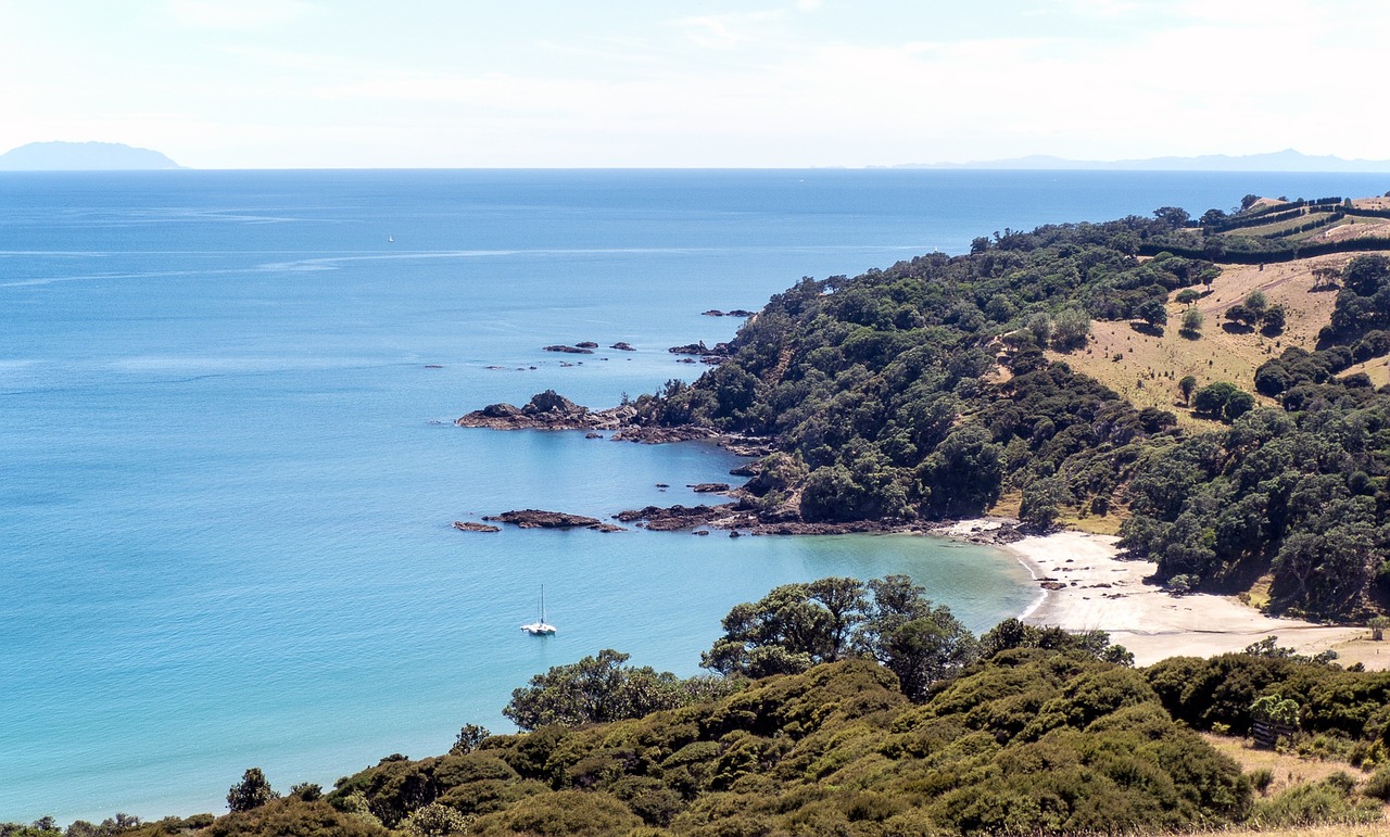 Waiheke, Kranto Linija, Pakrantė, Peizažas, Jūra, Zealand, Kranto, Cove, Jūros Dugnas, Nemokamos Nuotraukos