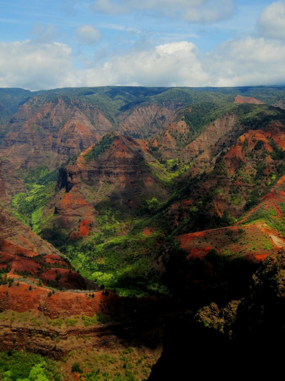 Waimea Kanjonas, Hawaii, Kauai, Kraštovaizdis, Gamta, Napali Pakrantė, Nemokamos Nuotraukos,  Nemokama Licenzija