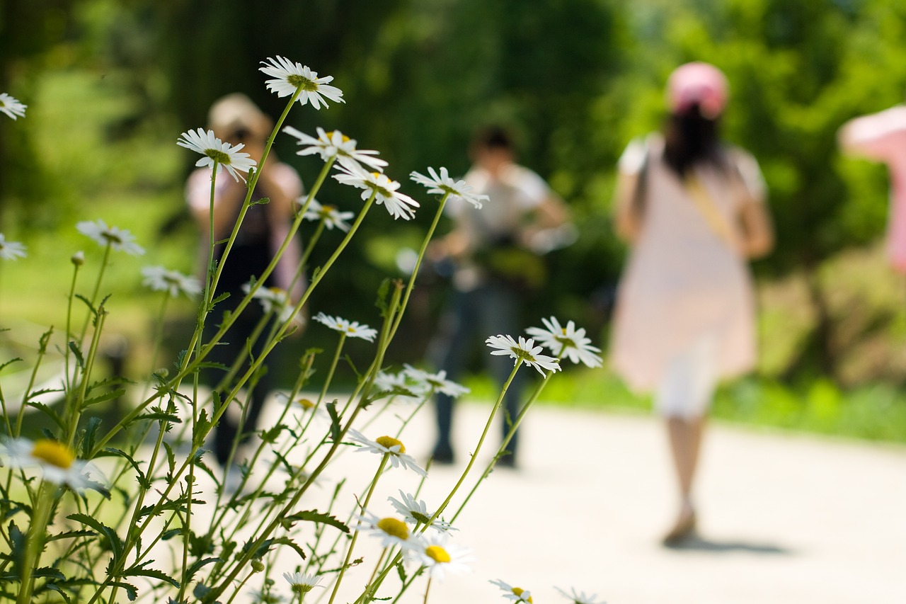 Vaikščioti, Daisy, Žmonės, Vasara, Nemokamos Nuotraukos,  Nemokama Licenzija