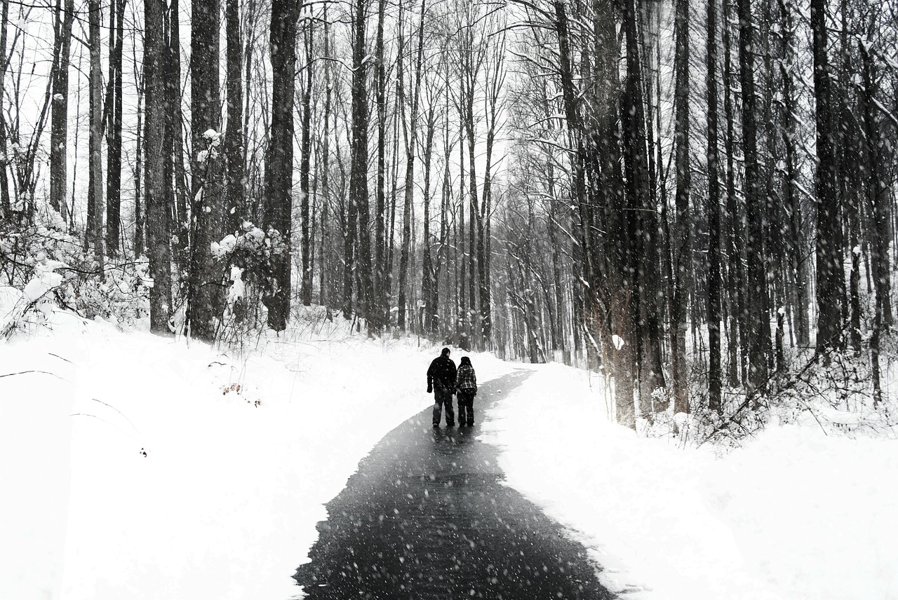 Vaikščioti, Pora, Žmonės Eina, Sniegas, Sniegas, Gamta, Šaltis, Šaltas, Moteris, Mergaitė