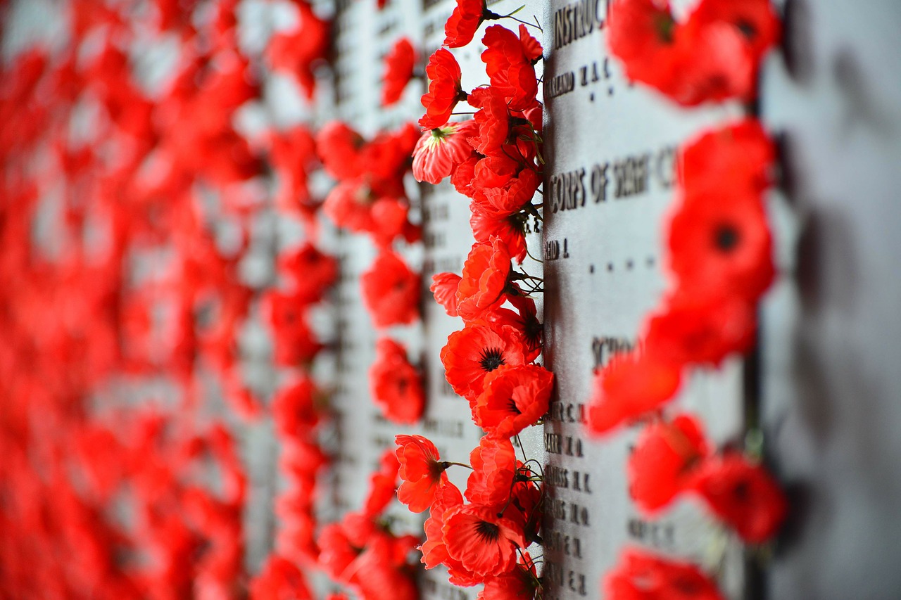 Karo Memorialas, Kanbera, Aguonos, Paminklas, Karas, Australia, Kapitalas, Australian, Orientyras, Architektūra