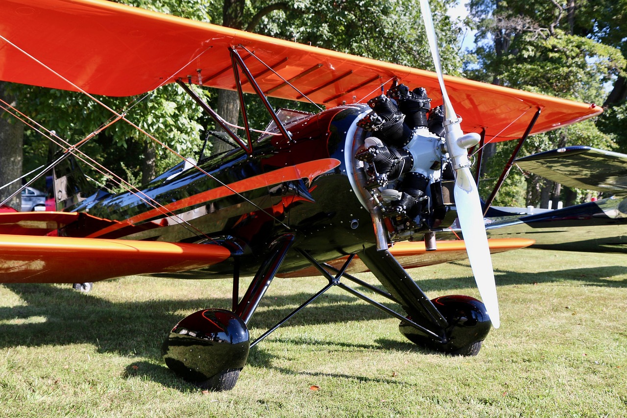 Warbird, Lėktuvas, Aviacija, Lėktuvas, Propeleris, Vintage, Kovotojas, Skrydis, Oro Uostas, Sparnai