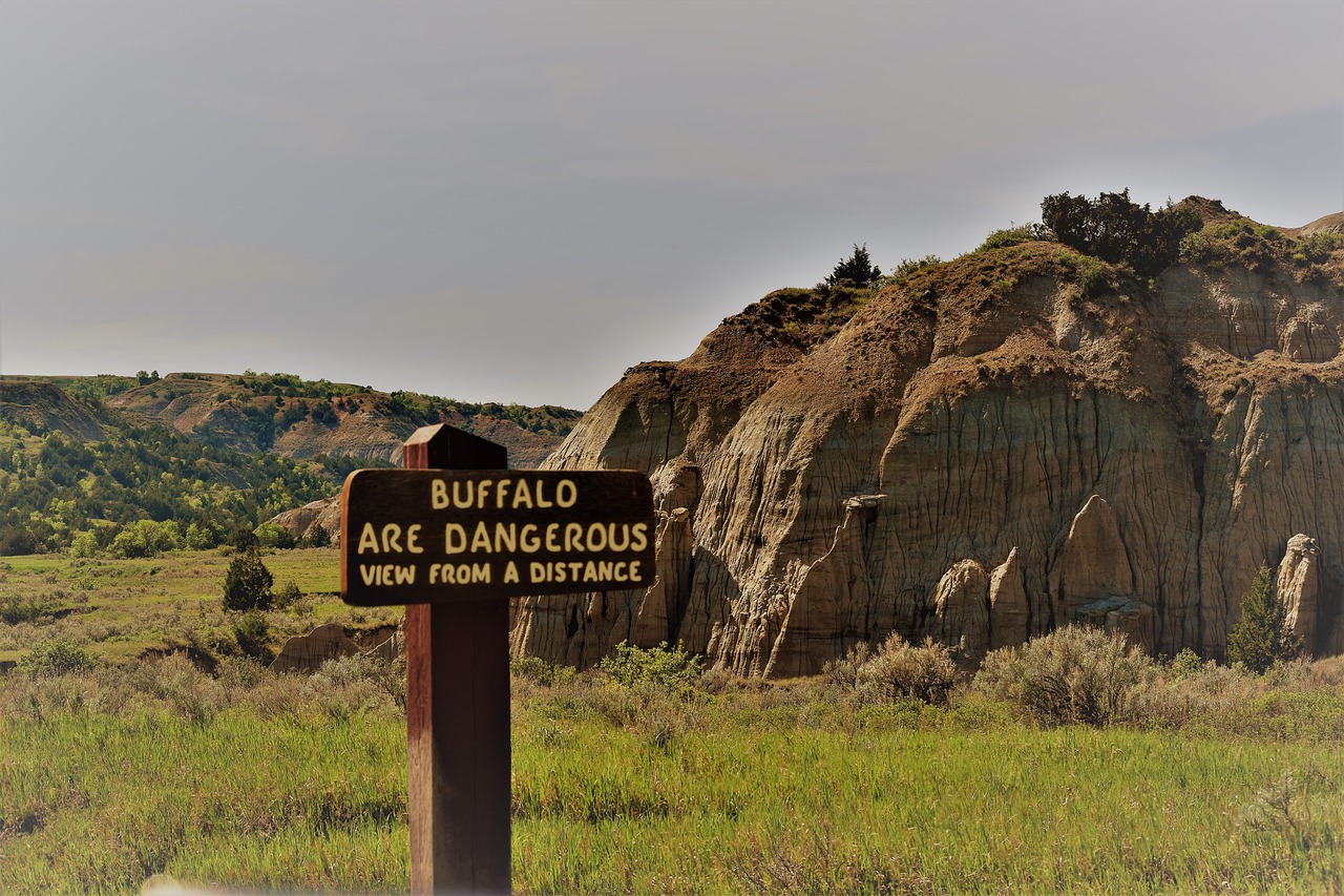 Įspėjimas,  Pavojus,  Buffalo,  Badlands,  Šiaurės Dakota, Nemokamos Nuotraukos,  Nemokama Licenzija