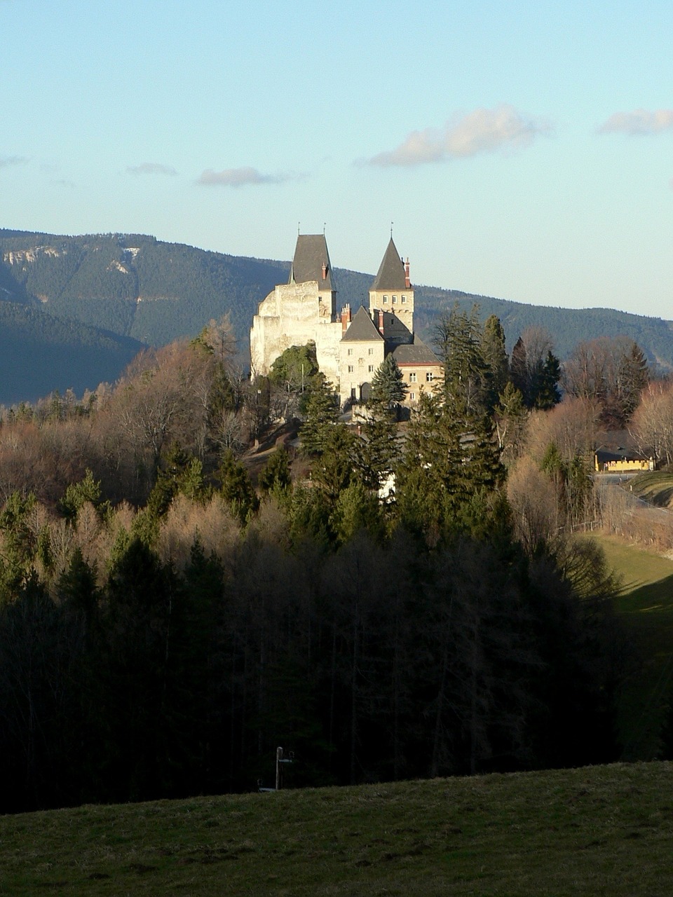 Wartenstein, Pilis, Austria, Kalnai, Karališkasis, Miškas, Šalis, Nemokamos Nuotraukos,  Nemokama Licenzija