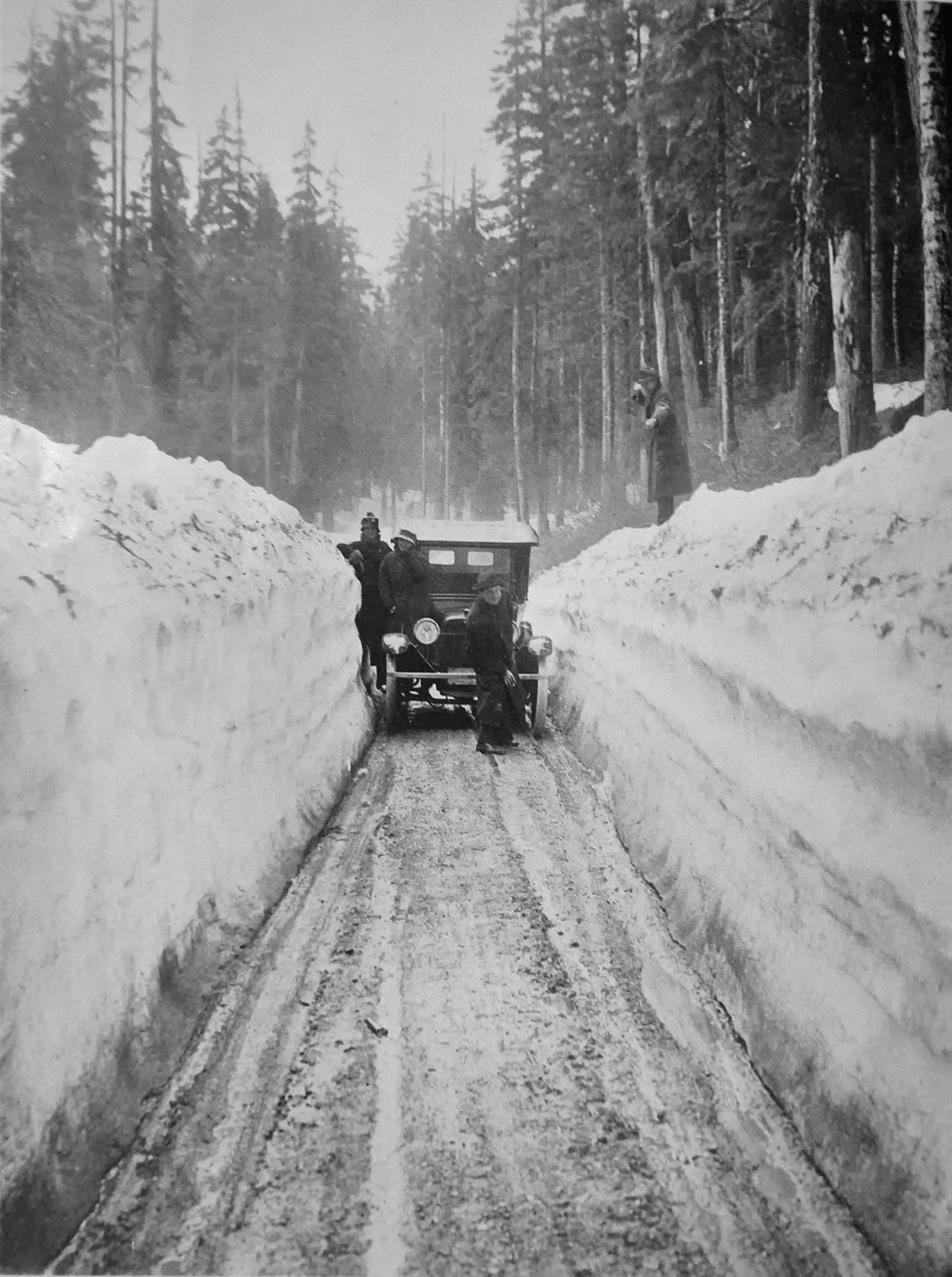 Vašingtonas, Blizzard, Žiema, Sniegas, Ledas, Miškas, Medžiai, Automobilis, Senas, 1920S