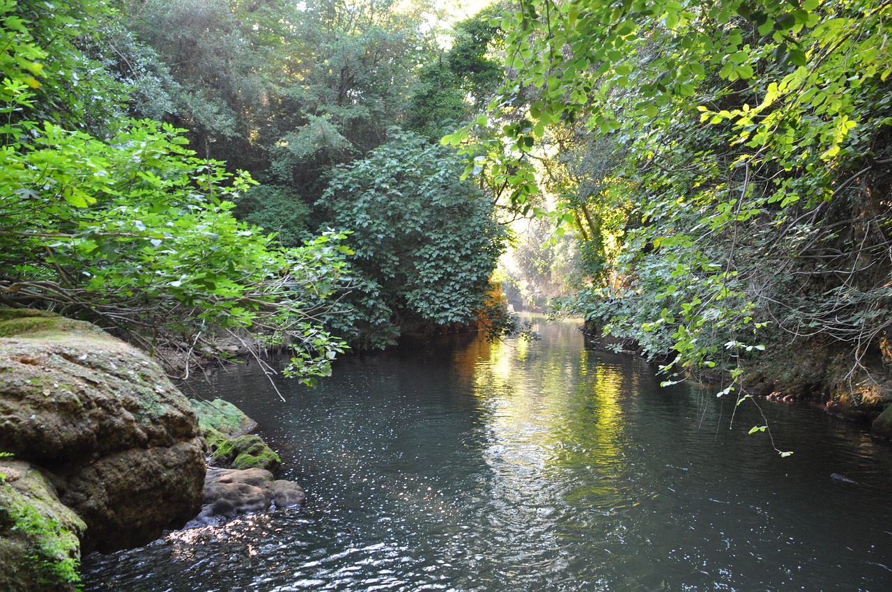 Vanduo, Gamta, Vandens Telkiniai, Roche, Kriokliai, France, Miškas, Medžiai, Atsipalaidavimas, Upė