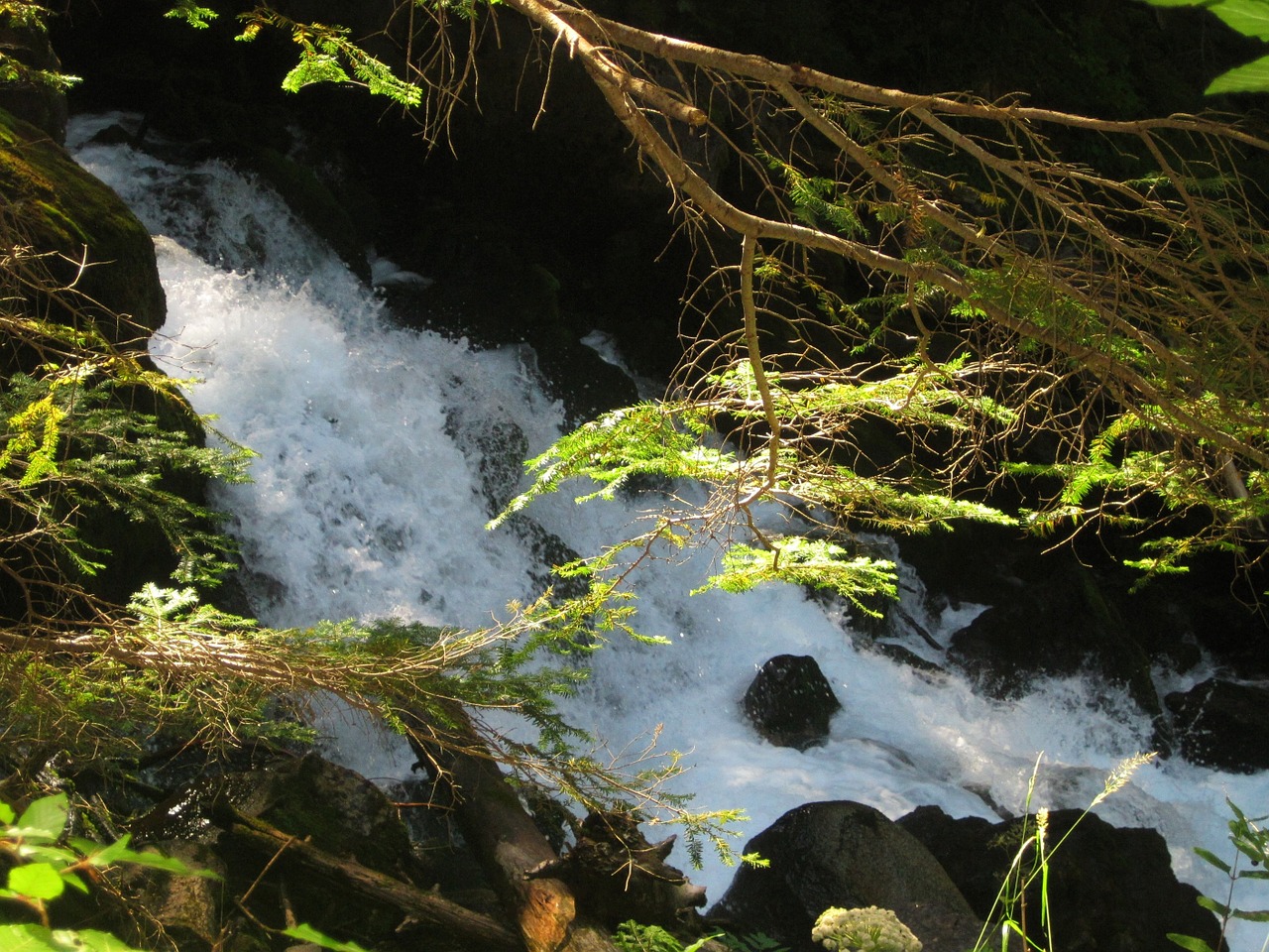 Vanduo, Pavasaris, Kanalas, Gamta, Upė, Kano, Žalias, Reaktyvinis, Nemokamos Nuotraukos,  Nemokama Licenzija